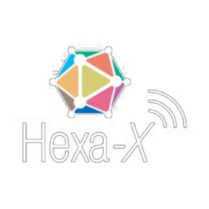Hexa-X